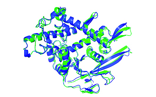Spatial Analysis Module